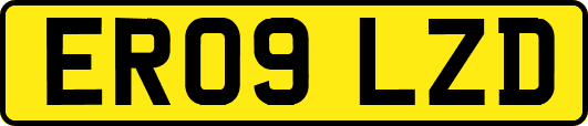 ER09LZD