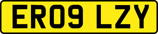 ER09LZY