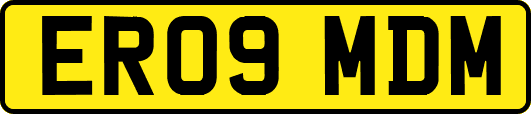 ER09MDM