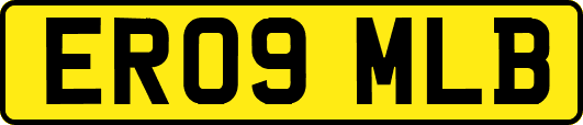 ER09MLB