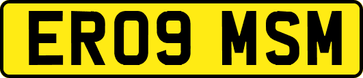 ER09MSM