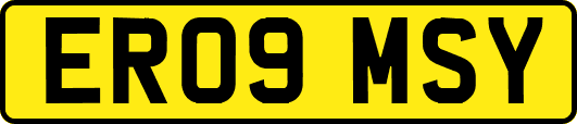 ER09MSY
