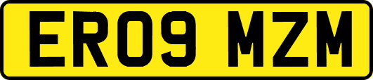 ER09MZM