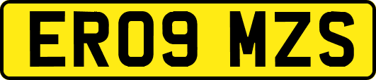 ER09MZS