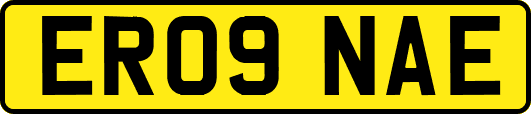 ER09NAE