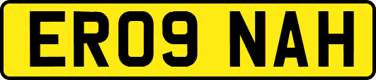 ER09NAH