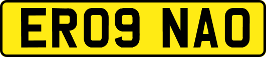 ER09NAO