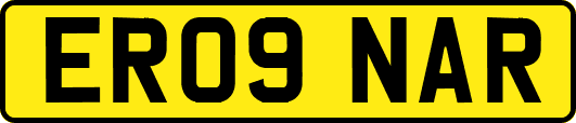 ER09NAR