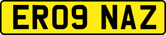 ER09NAZ
