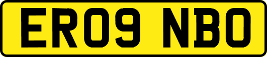 ER09NBO