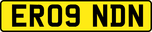 ER09NDN