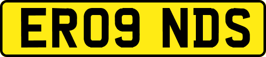 ER09NDS