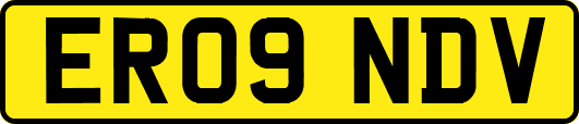 ER09NDV