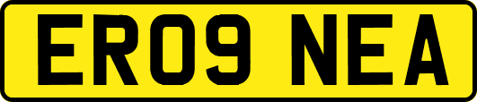 ER09NEA
