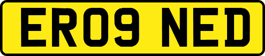 ER09NED