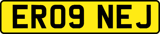 ER09NEJ