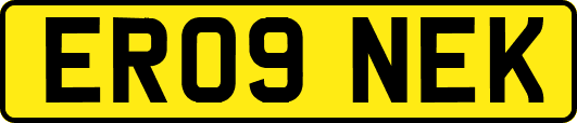 ER09NEK