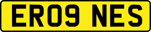 ER09NES
