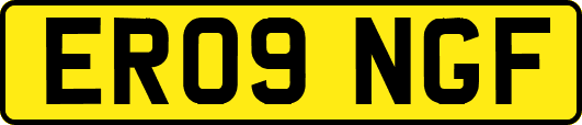 ER09NGF