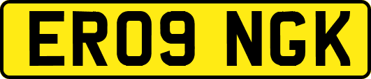 ER09NGK
