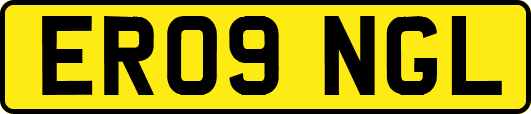 ER09NGL