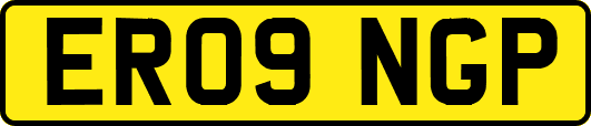 ER09NGP