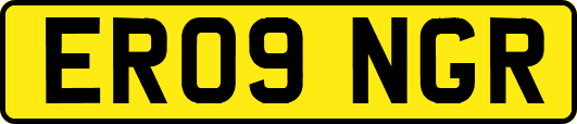 ER09NGR