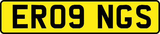 ER09NGS