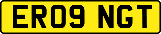 ER09NGT
