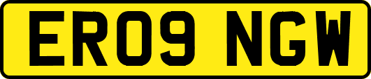 ER09NGW
