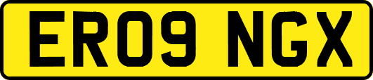ER09NGX