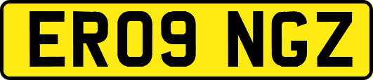 ER09NGZ