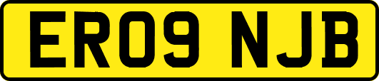 ER09NJB