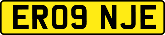 ER09NJE