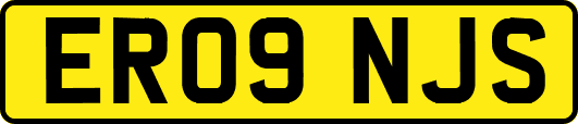 ER09NJS