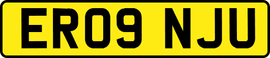 ER09NJU