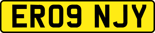 ER09NJY
