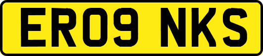 ER09NKS