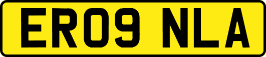 ER09NLA