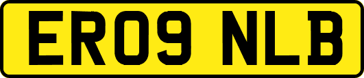 ER09NLB