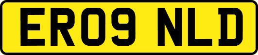 ER09NLD
