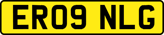 ER09NLG