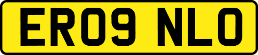 ER09NLO