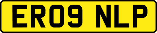 ER09NLP