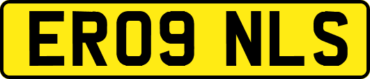 ER09NLS