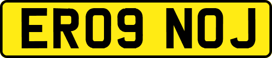 ER09NOJ