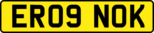 ER09NOK