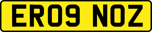 ER09NOZ