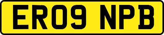 ER09NPB