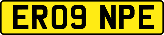 ER09NPE